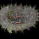 Image: Fox, E.G.P et al